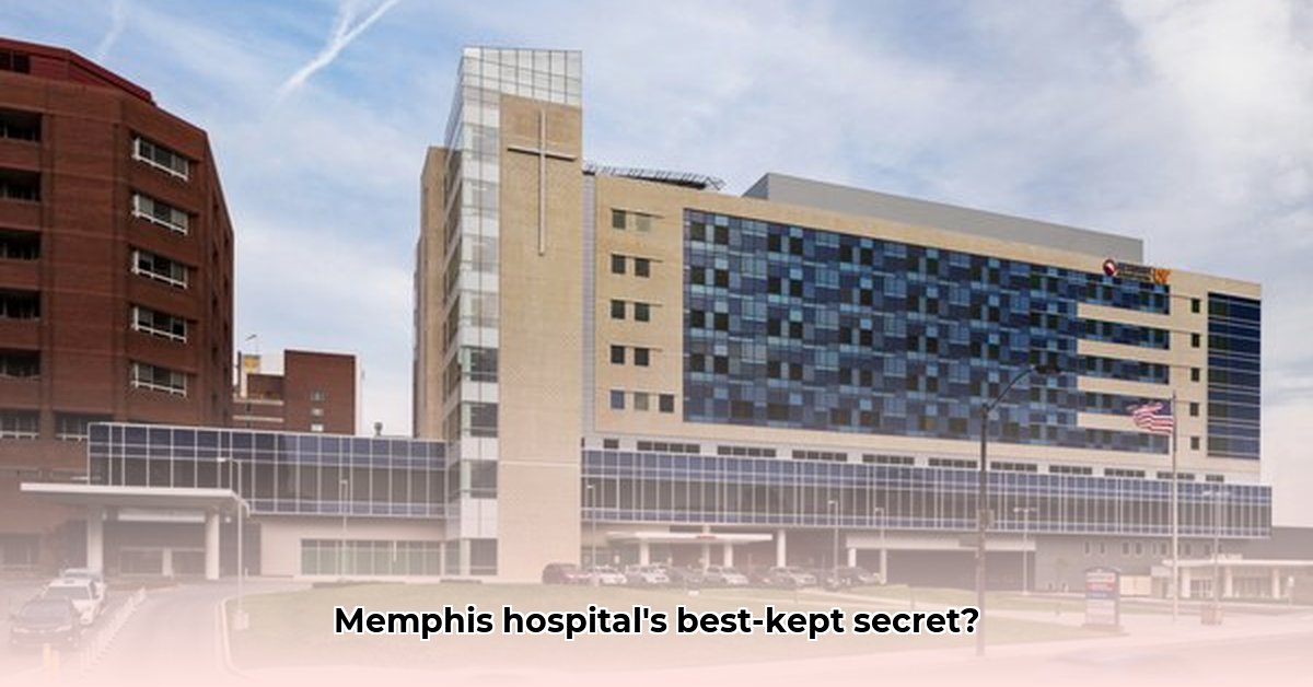 1265-union-avenue-memphis-tn